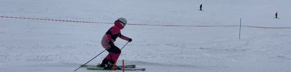 IMG_3533 IMG_3533